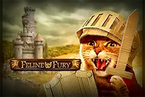 Feline Fury