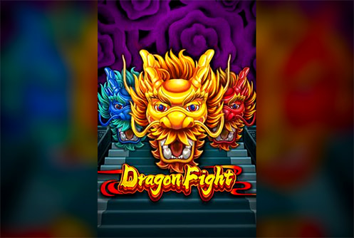 Dragon Fight